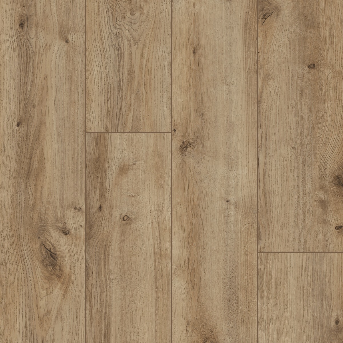 Venice AC5 Laminate Flooring